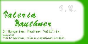 valeria mauthner business card
